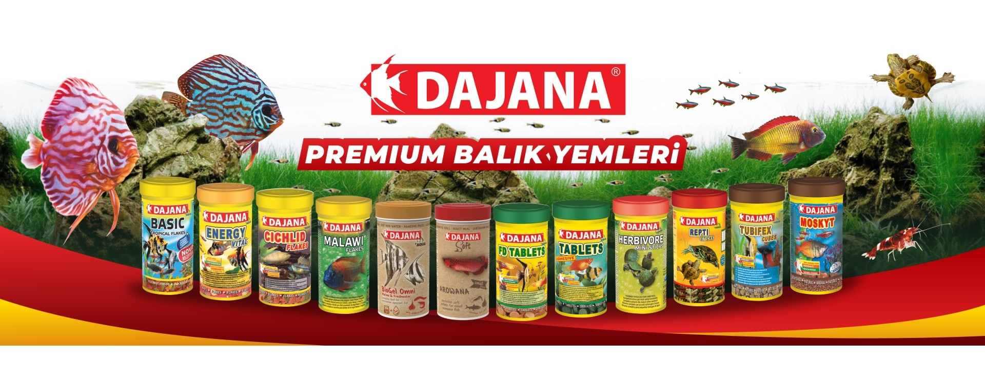 kampanya